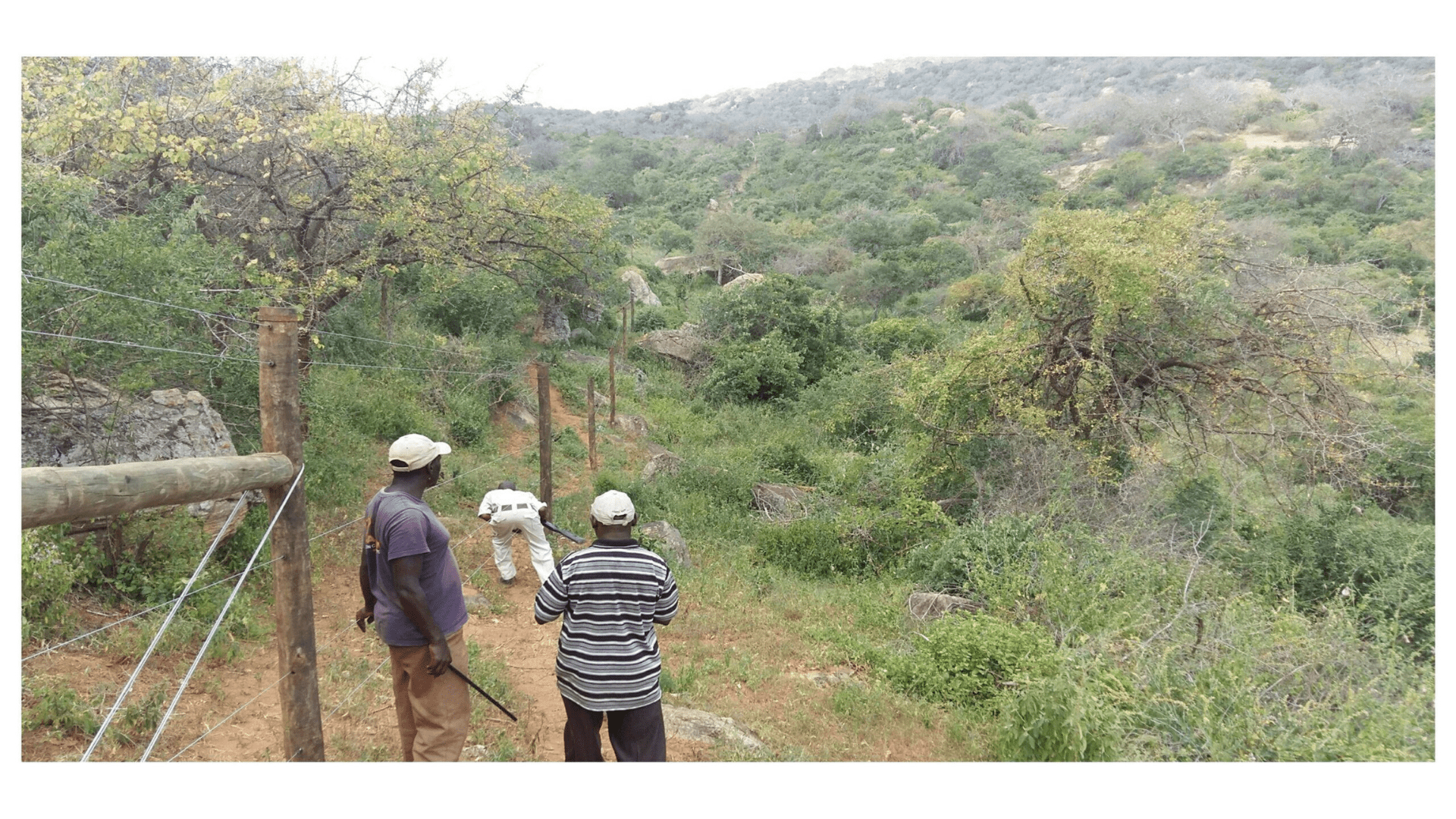 Game Fencing 11