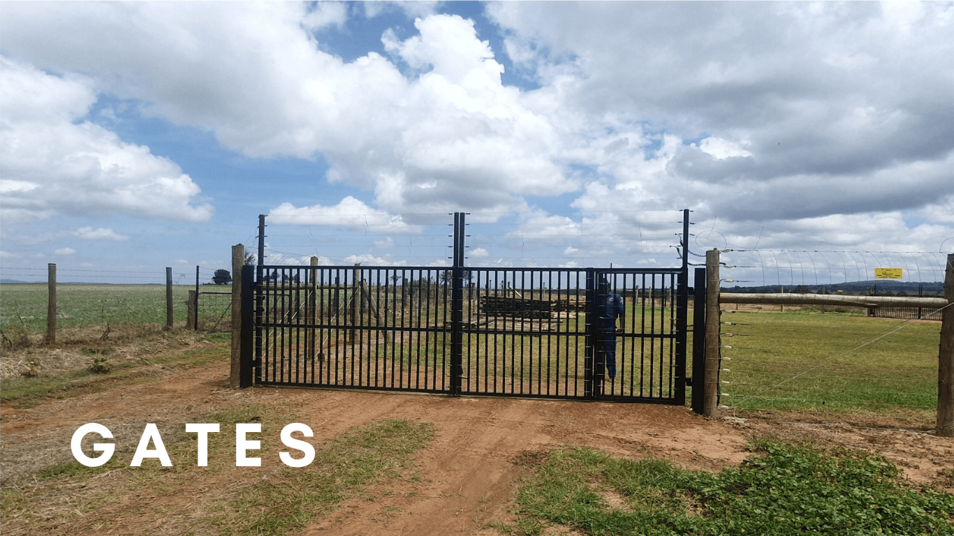 HomePage Gates